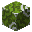 ./items/248-0